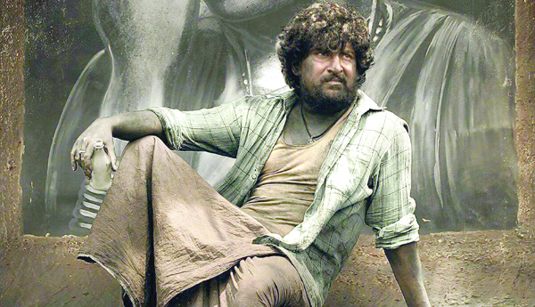 Hero-elevation-has-increased-why