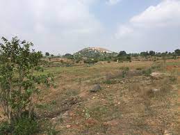 ప్రత్యామ్నాయమూ అరొకరనే..!