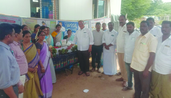 jagananna-arogya-suraksha-awareness-narpala