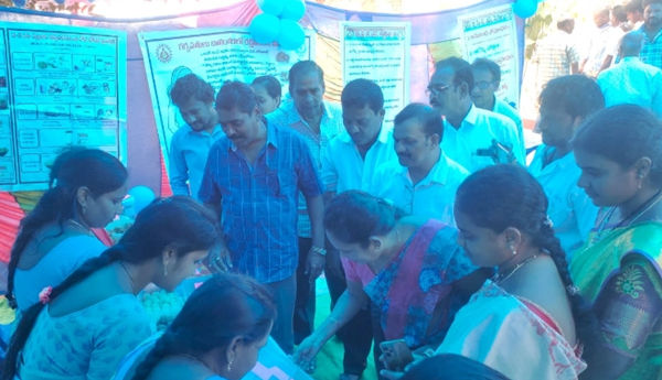 jagananna-suraksha-in-alamuru