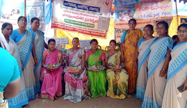 jagananna-suraksha-in-alamuru