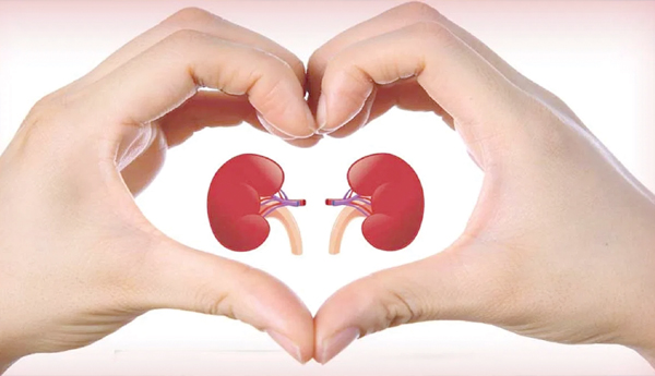 kidney-problems-food-care-healh