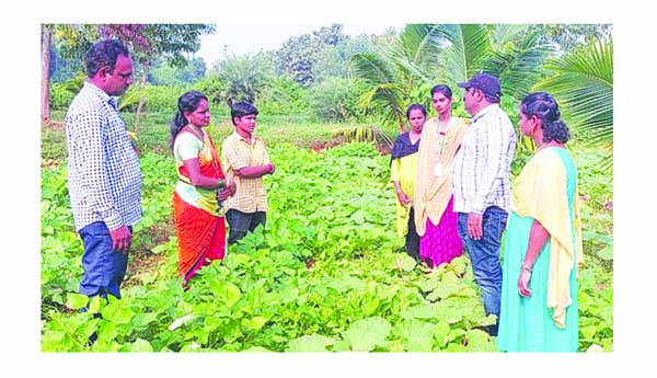 ప్ర్రకృతి వ్యవసాయ సాగుపై అవగాహన