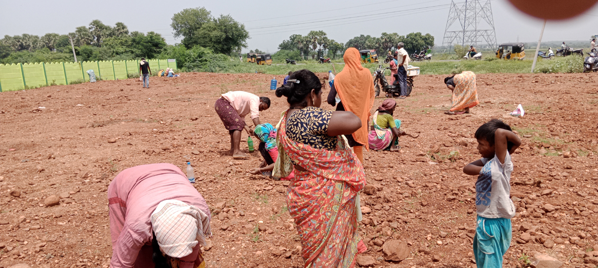 రంగు రాళ్ల కోసం వెదుకులాట