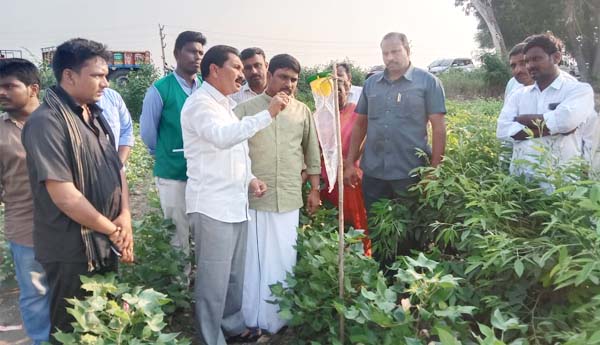 పొలాలను ఖాళీగా ఉంచొద్దు..