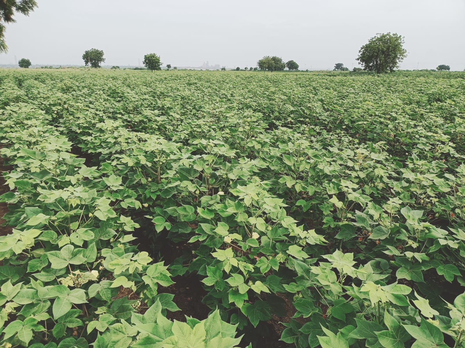 ముగిసిన ఖరీఫ్‌ సీజన్‌