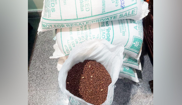 నకిలీ విత్తనాల కలకలం