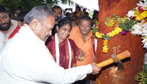  సిరిమాను చెట్టు తరలింపునకు తరలివచ్చిన జనం