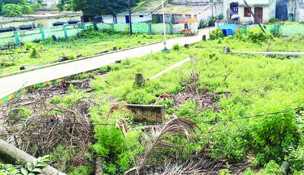 ఆహ్లాదం కరువు