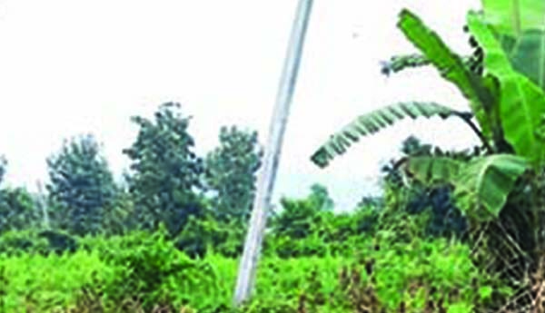 విద్యుత్తు శాఖలో దొంగలు పడ్డారు..!?