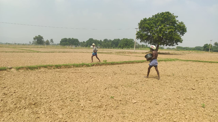 జిల్లాలో కరువే లేదట...!