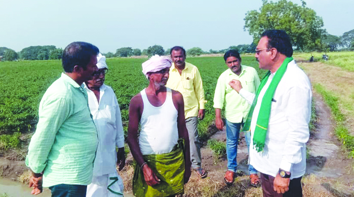 సాగర్‌ ఆయకట్టుకు సాగునీరు విడుదల చేయండి