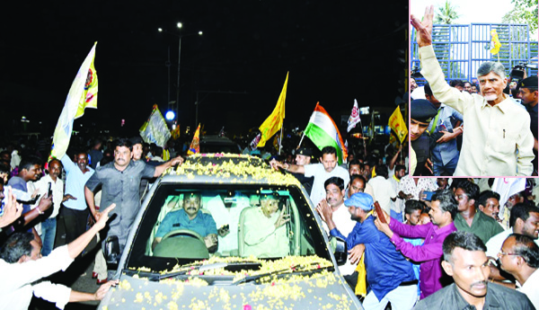 Bail-to-Babu