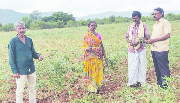 నేడు తహశీల్దారు కార్యాలయం వద్ద ధర్నా