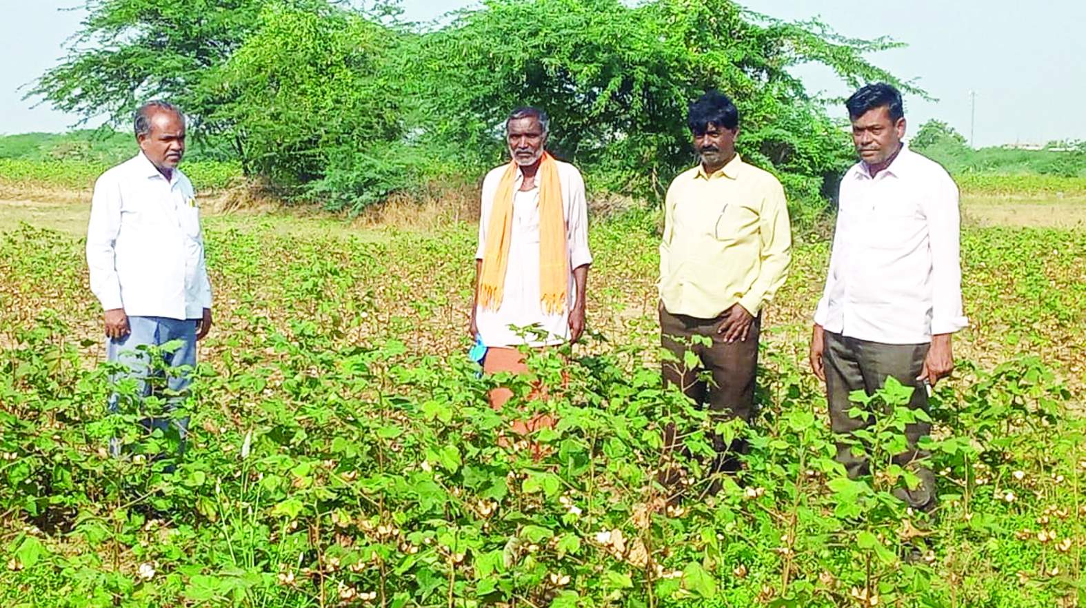 బాధిత రైతుతో కలిసి పొలాన్ని పరిశీలిస్తున్న సిపిఎం నాయకులు