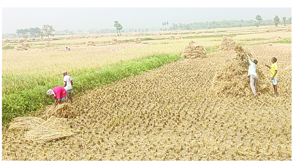 తుపాను హెచ్చరికతో రైతుల్లో ఆందోళన