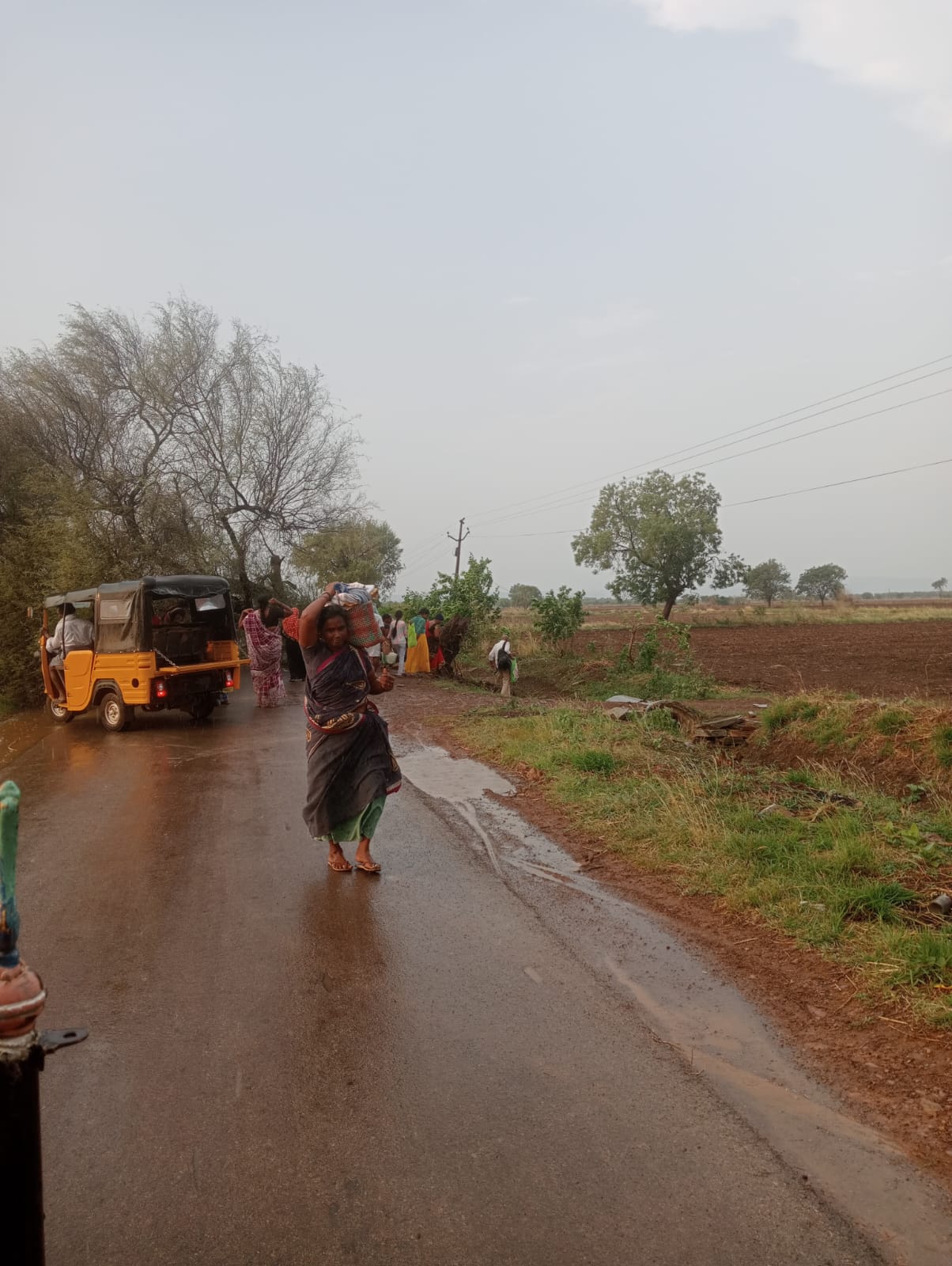 చెట్టు కూలి రహదారికి అడ్డంగా పడి ఉన్న దృశ్యం