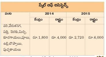 పిసరంత పరిహారం