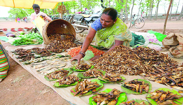 Tribal-food-care