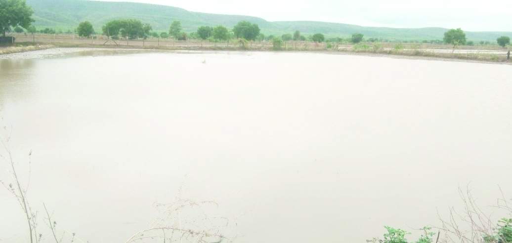 ఆత్మకూరు : చెరువులను తలపిస్తున్న పంట పొలాలు