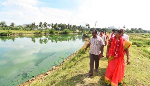 chervuvu