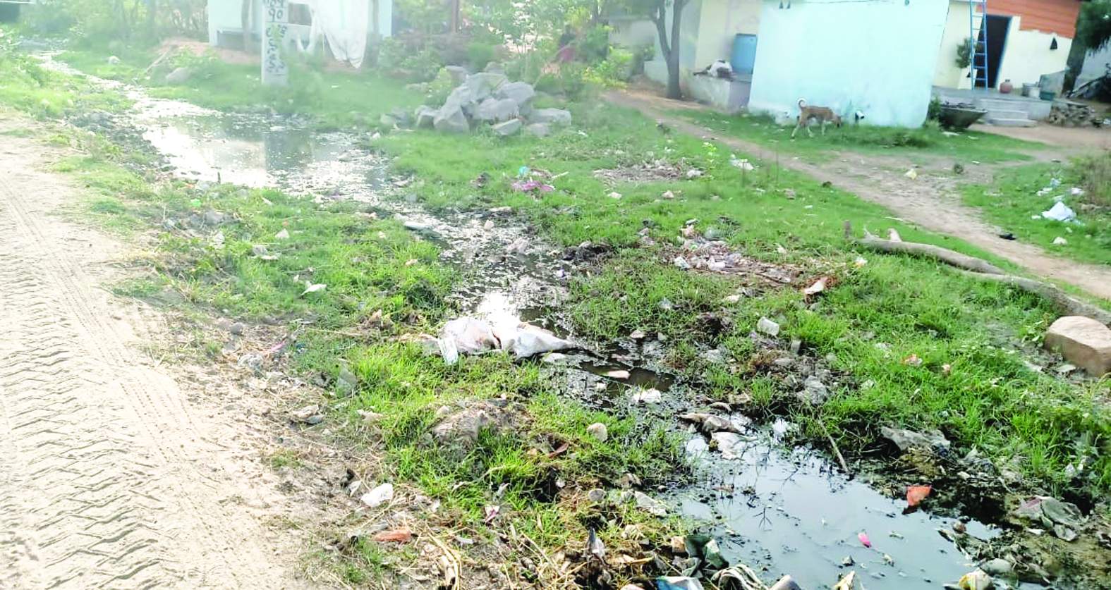 దుర్వాసన వెదజల్లుతున్న మురుగు