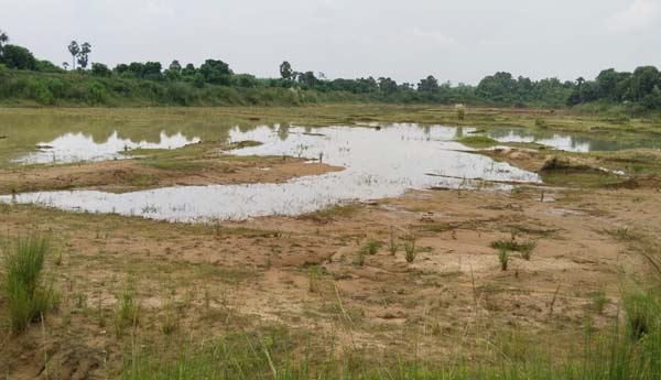 జిన్నాంలో తగినంత నీరు లేక వెలవెల బోతున్న చెరువు
