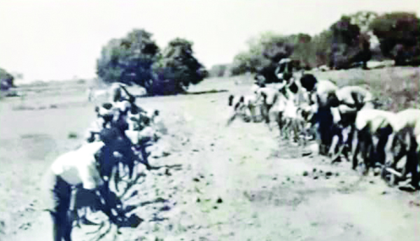 A-tireless-farmer-in-village-reconstruction