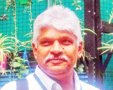 ఏ.వి.నాగేశ్వరరావు 