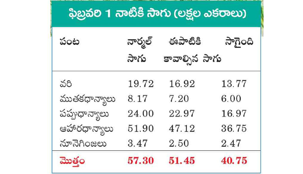 rabi-cultivation-in2023-story