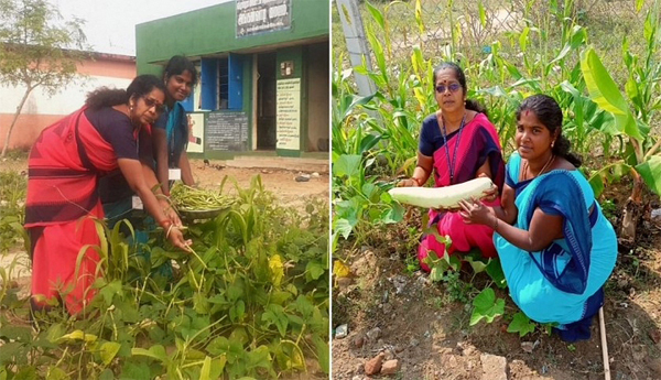 ఆమె అమ్మలాంటి అంగన్వాడీ