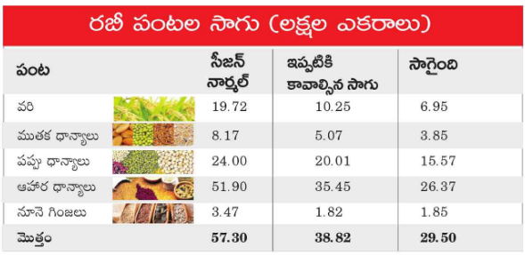 ప్రజాశక్తి ప్రత్యేక ప్రతినిధి- అమరావతి : ఈ తడవ రబీ సాగు జనవరి వచ్చినా పుంజుకోలేదు. అక్టోబర్‌లో సీజన్‌ మొదలుకాగా ఇప్పటికి మూడు మాసాలు గడిచిపోయాయి. అయినా సాగు బాగా నెమ్మదిగా సాగుతోంది.